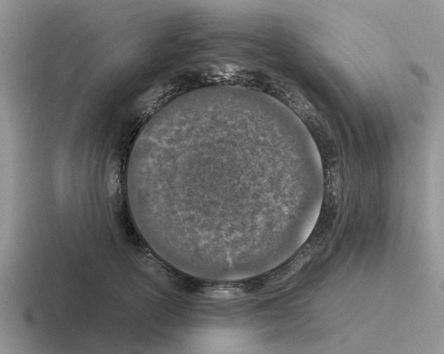 X0000116100754201001040951