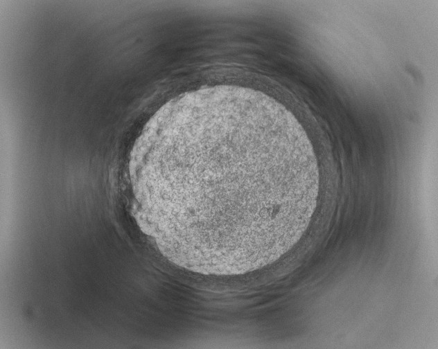 X0000116100755201001040951