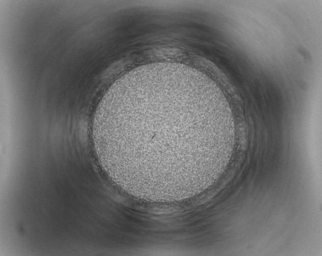 X0000116100757201001040951