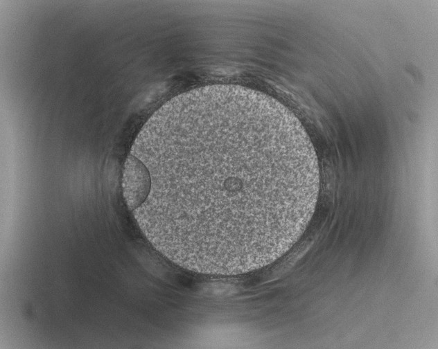 X0000116100758201001040951