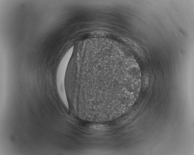 X0000116100759201001040951