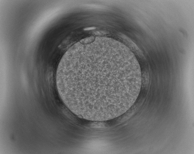 X0000116100762201001040951