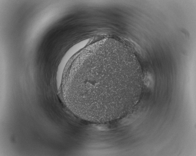 X0000116100763201001040952