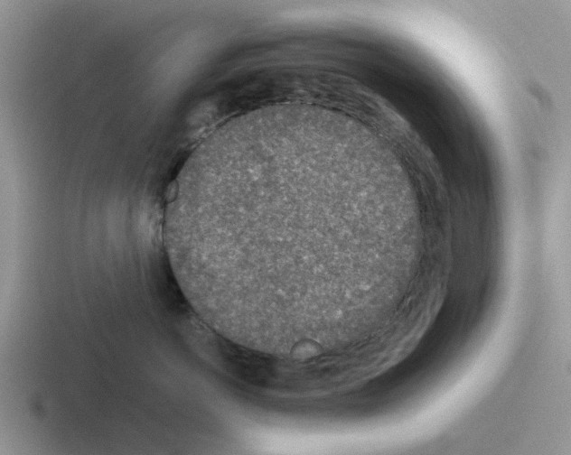 X0000116100766201001040952