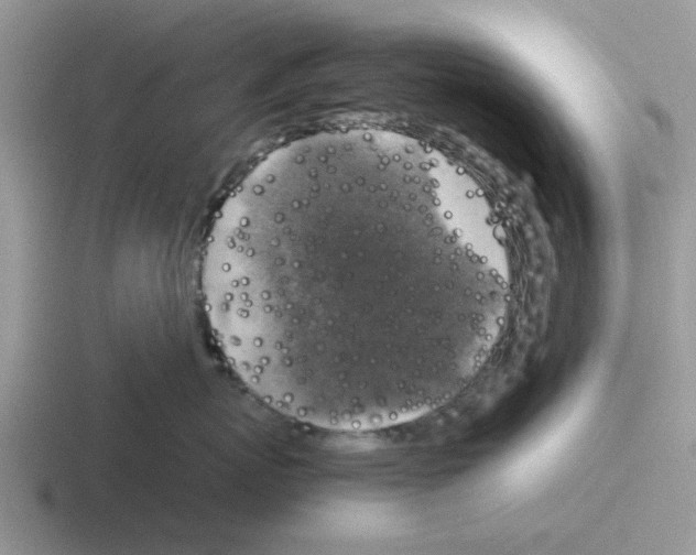 X0000116100767201001040952