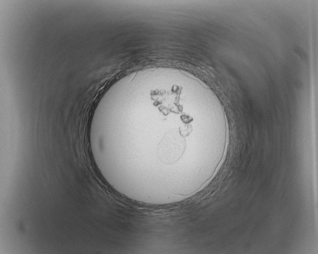 X0000116100769201001040951