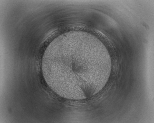 X0000116100774201001040951