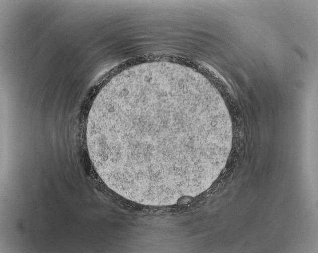 X0000116100775201001040951