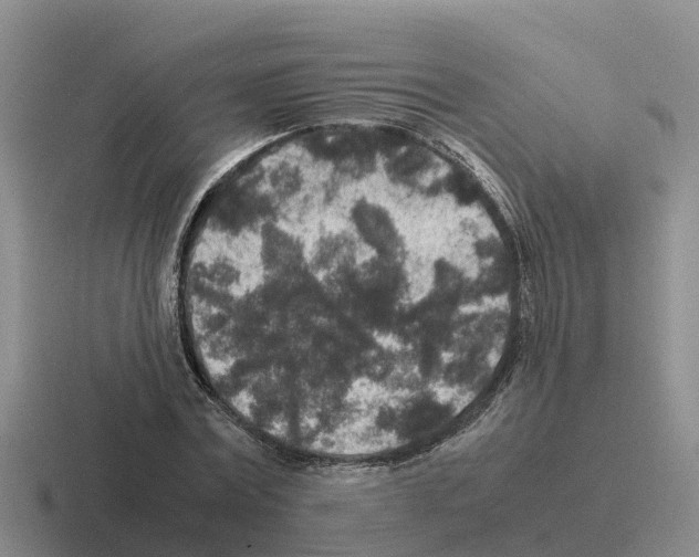 X0000116100779201001040951