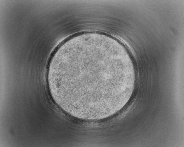 X0000116100783201001040951