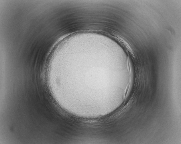 X0000116100784201001040951