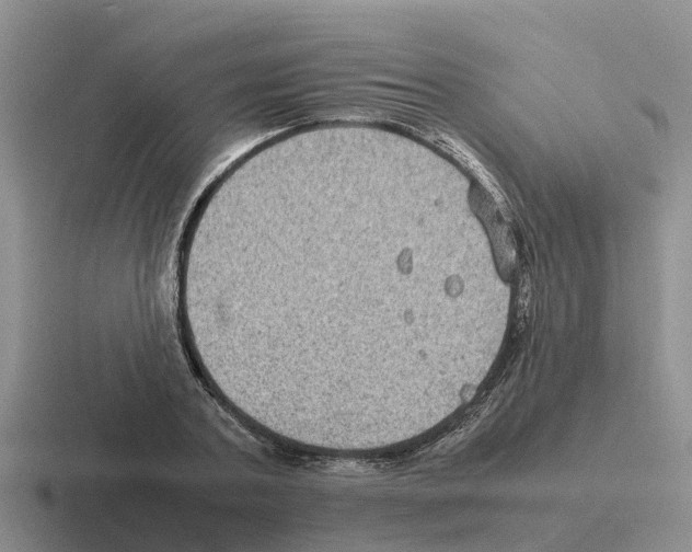 X0000116100787201001040951