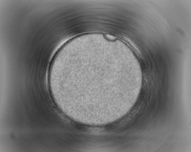 X0000116100788201001040951