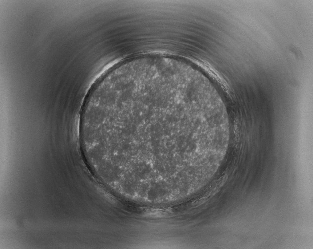 X0000116100790201001040951