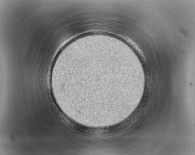 X0000116100791201001040951