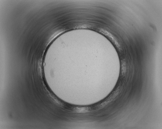 X0000116100794201001040951