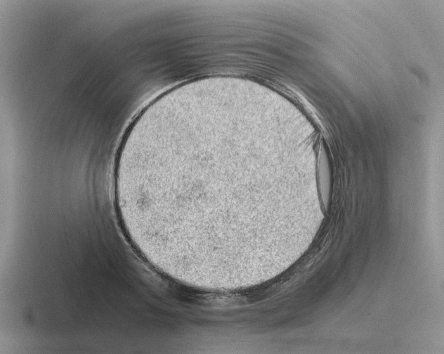 X0000116100795201001040951