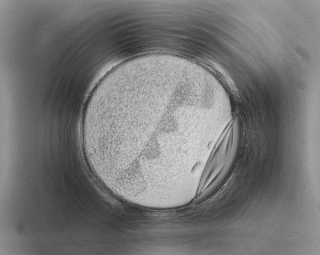 X0000116100796201001040951