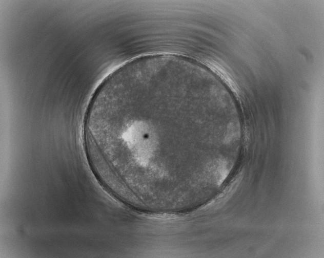 X0000116100797201001040951