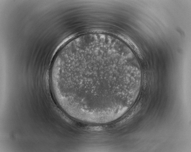 X0000116100798201001040951