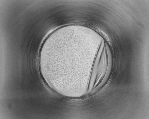 X0000116100800201001040951