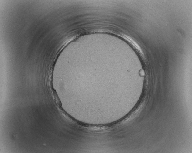 X0000116100801201001040951