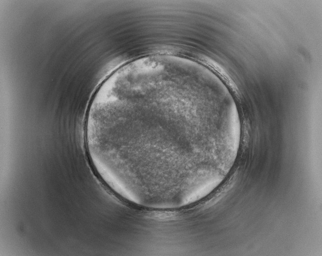 X0000116100802201001040951