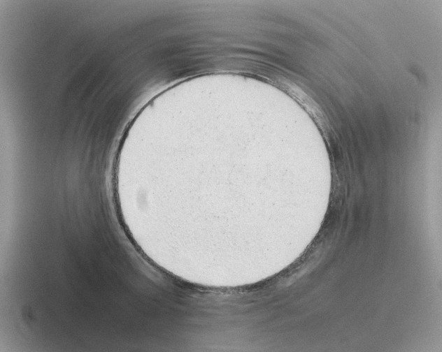 X0000116100803201001040951