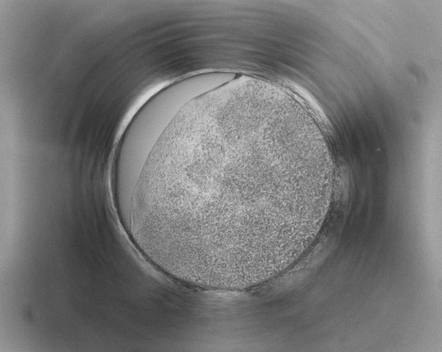 X0000116100804201001040951