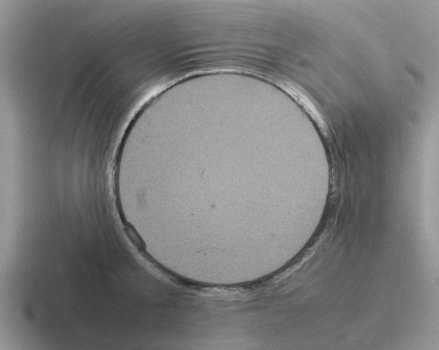 X0000116100805201001040951