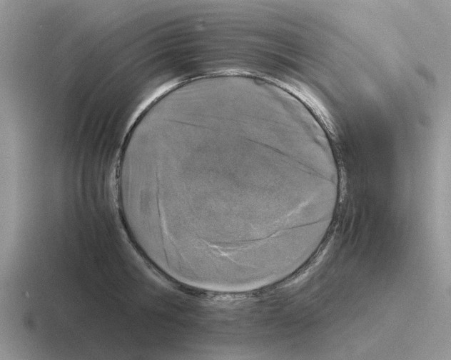 X0000116100806201001040950