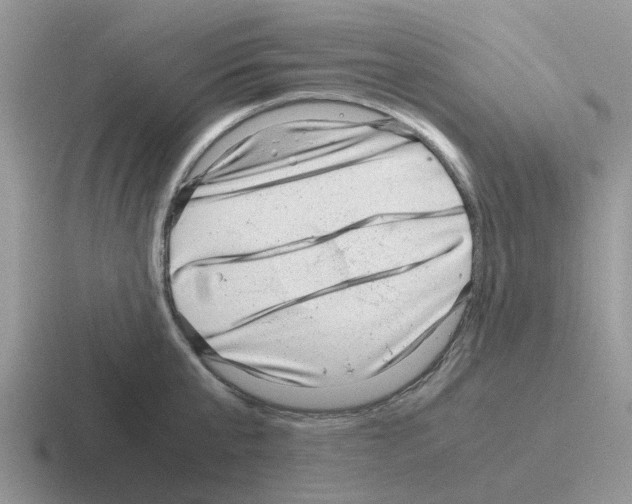 X0000116100807201001040950