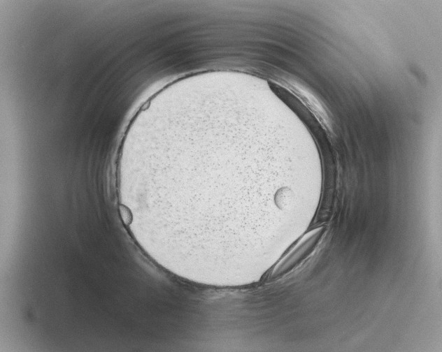 X0000116100808201001040950