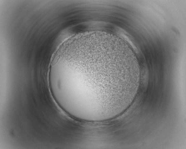 X0000116100810201001040950