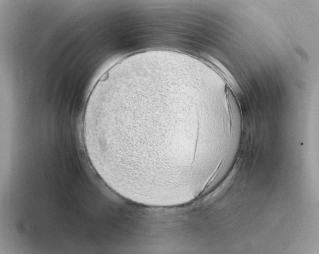 X0000116100812201001040950