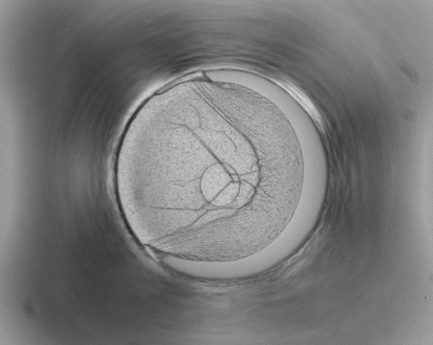 X0000116100813201001040950