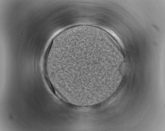 X0000116100815201001040950