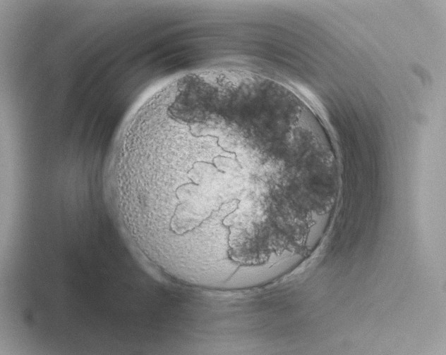 X0000116100816201001040950