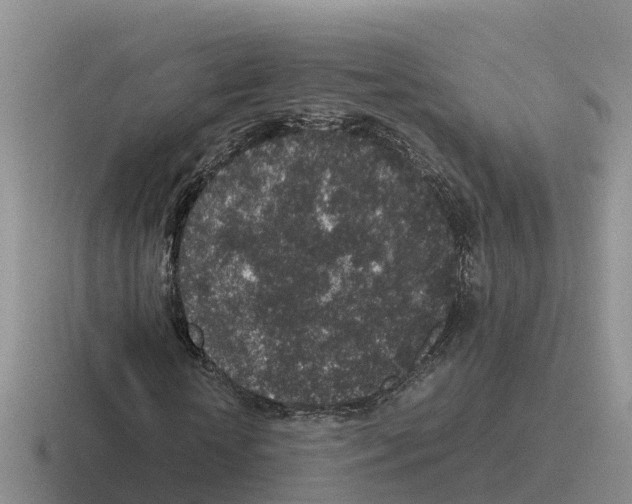 X0000116100818201001040950