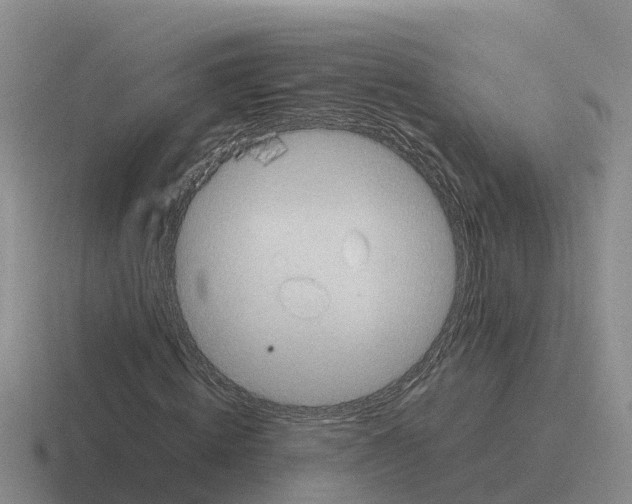 X0000116100820201001040950