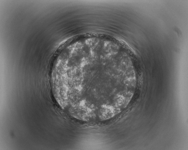 X0000116100822201001040950