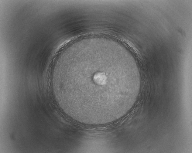 X0000116100824201001040950