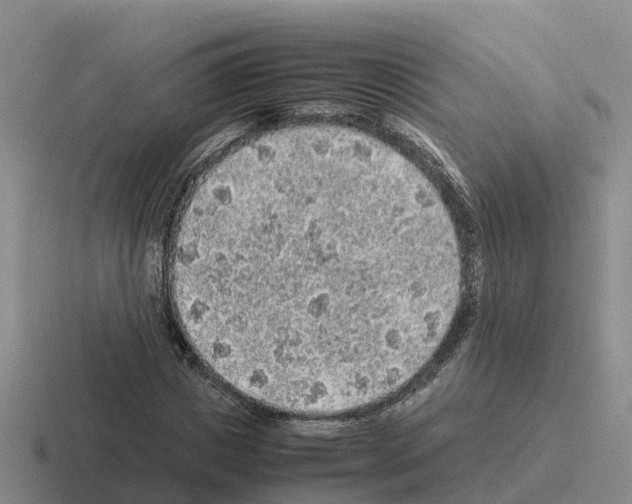 X0000116100825201001040950