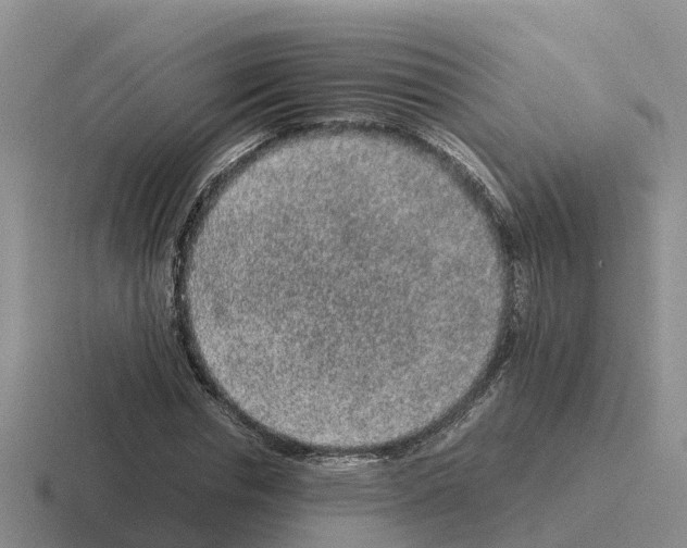 X0000116100826201001040950