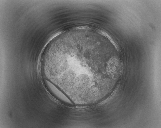 X0000116100827201001040950