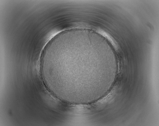 X0000116100828201001040950