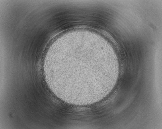 X0000116100831201001040950