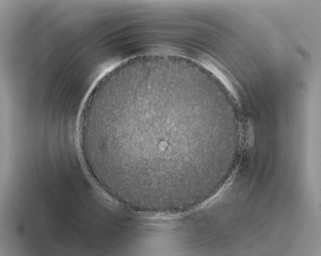 X0000116100832201001040950