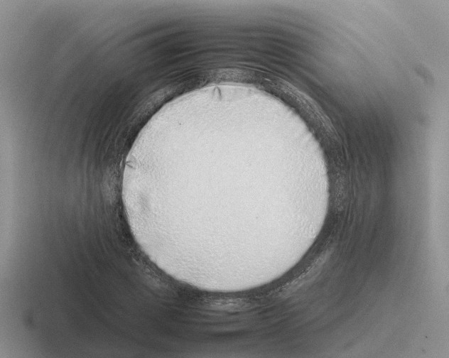 X0000116100833201001040950