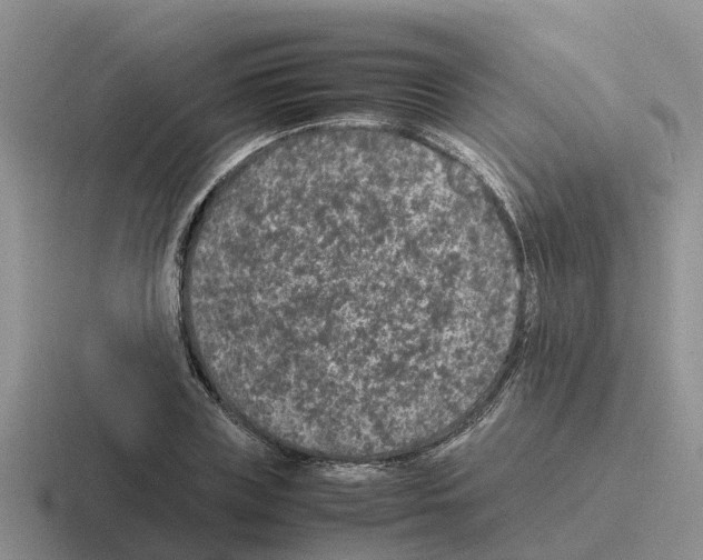 X0000116100835201001040950